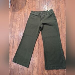Olive Green Wide-Leg Denim Pants Size XL 3 Button Size XL